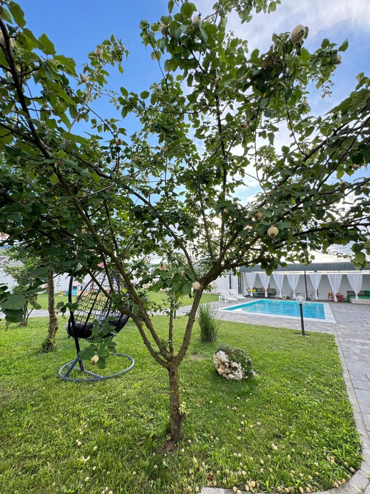 Villa Family Estate Hadzalova Avlija Bihać Exterior foto